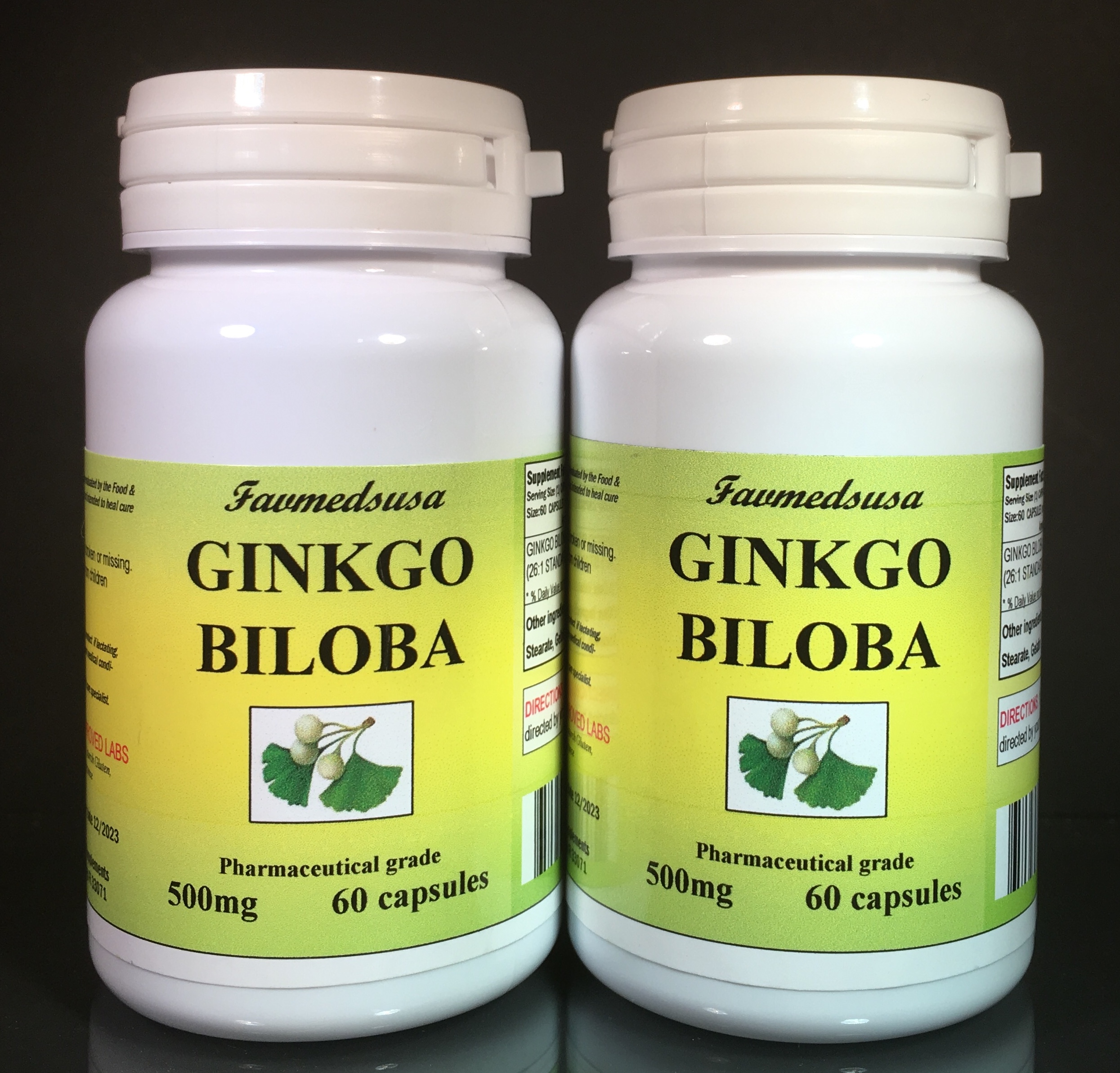 Ginkgo Biloba 500mg - 120 (2x60) capsules